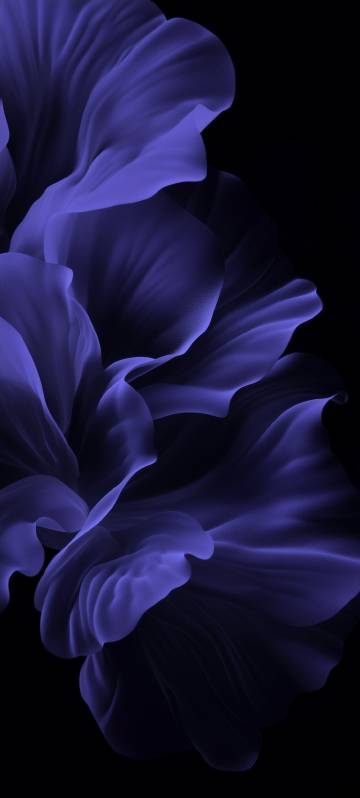Official Xiaomi 13 Stock Purple Flower Petals Wallpaper