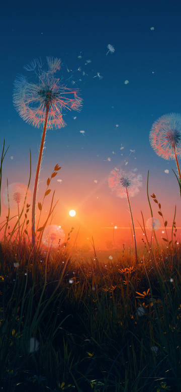 Dandelions Blowing in the Wind Sunset Wallpaper 4K
