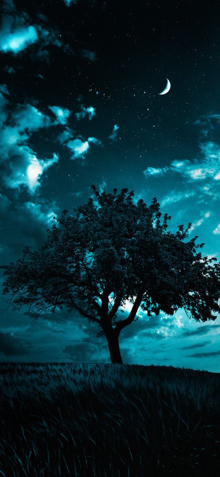 Dreamy Blue Night Landscape with Stars Wallpaper