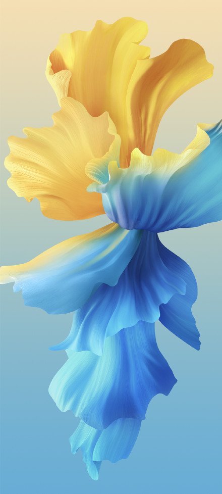 Abstract Yellow and Blue Petal Wallpaper