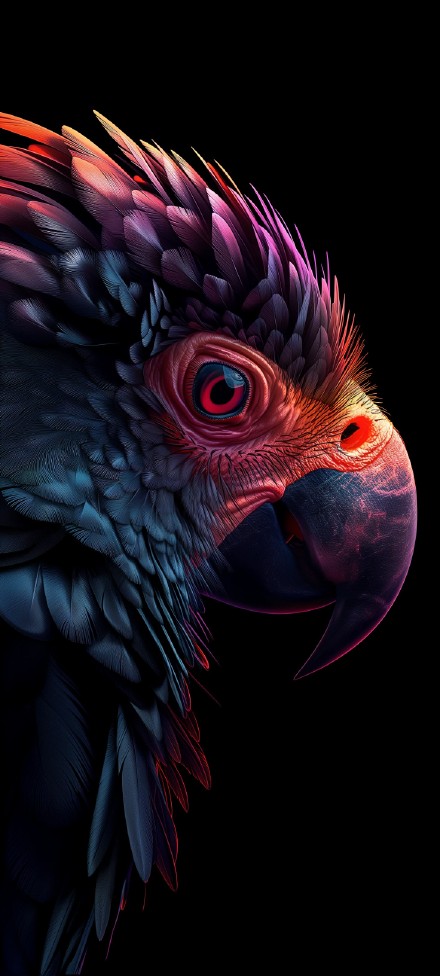 Colorful Parrot Close-up 4K Aesthetic Wallpaper