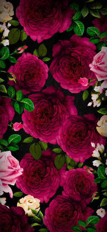 Romantic Deep Red Roses On Black Background 4K Wallpaper