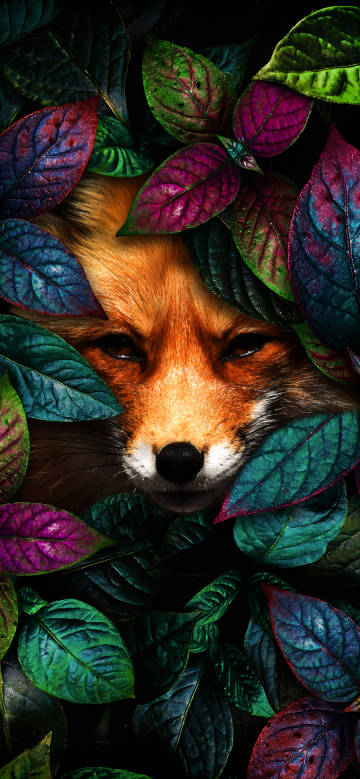 Hidden Fox in Colorful Leaves 4K Phone Wallpaper