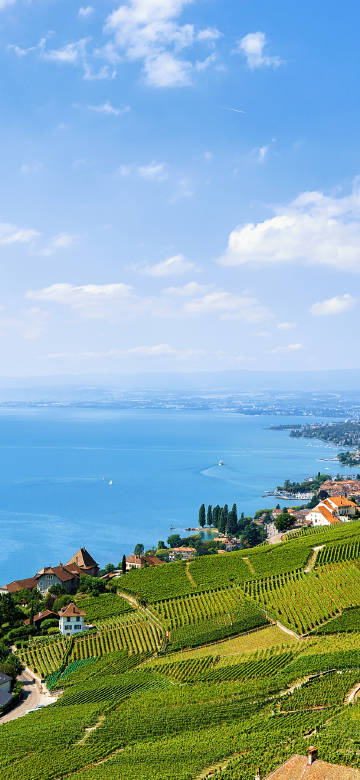 Lavaux Vineyard by Lake Geneva 4K Phone Wallpaper