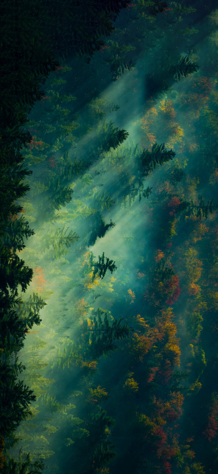 A Stunning Autumn Landscape Wallpaper
