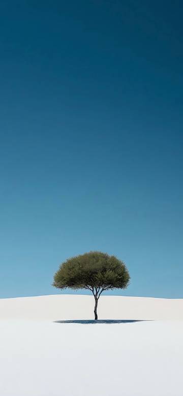 A Single Tree in a Vast White Desert 4K Wallpaper