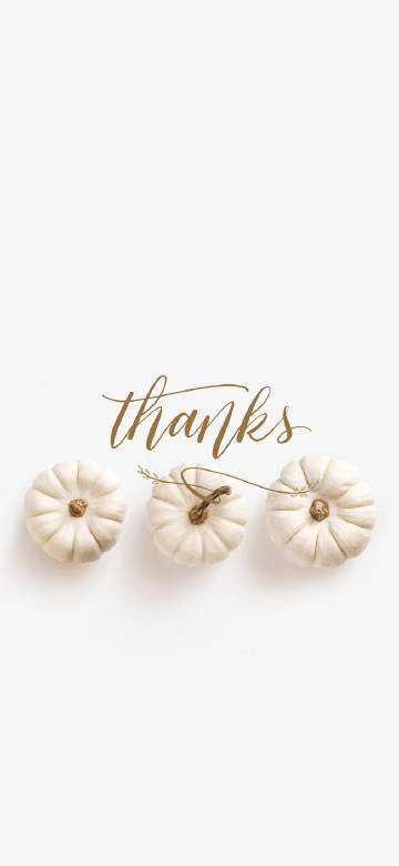 Minimalist White Pumpkins Thanksgiving Wallpaper