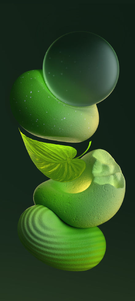 Stones and Leaves Floating Against a Deep Green Background