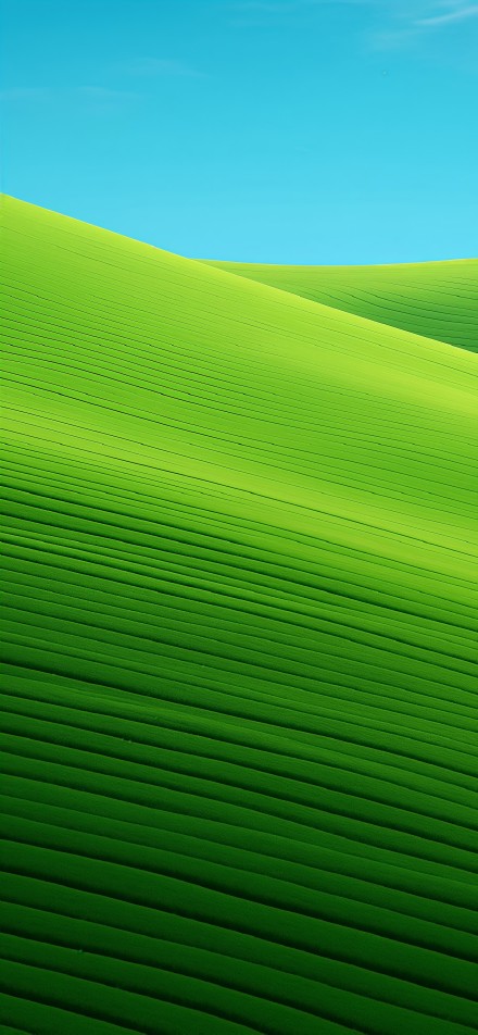 Blue sky green striped hillside phone wallpaper