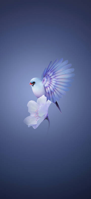 Huawei Mate X5 bird feather 4k phone wallpaper