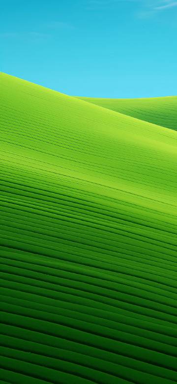Blue sky green striped hillside phone wallpaper