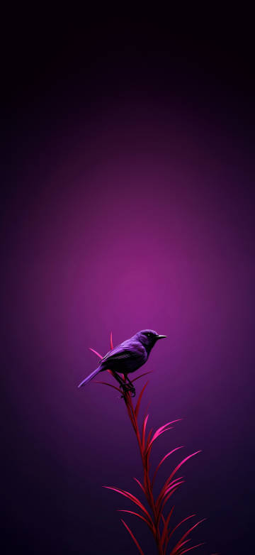 Bird Moments Of Quiet Reflection