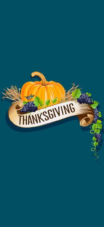 Minimalist Thanksgiving Pumpkin And Banner Wallpaper
