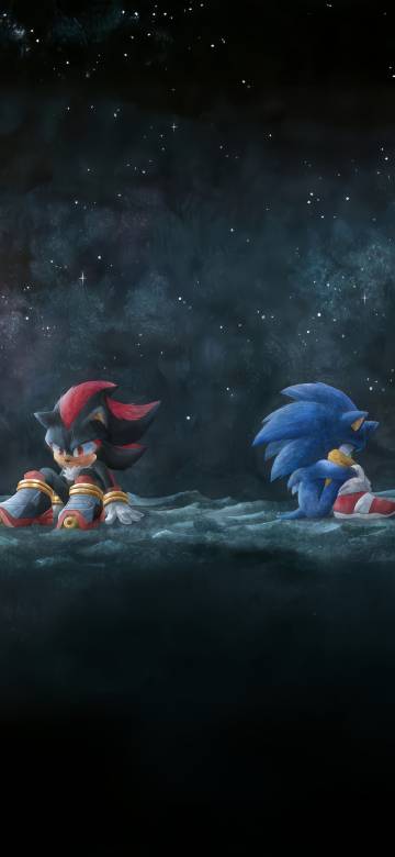 Sonic and Shadow Under Starry Sky Wallpaper