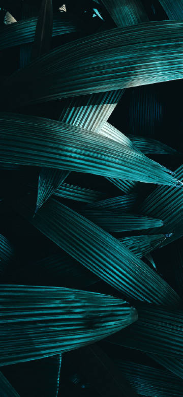 dark colored leaves