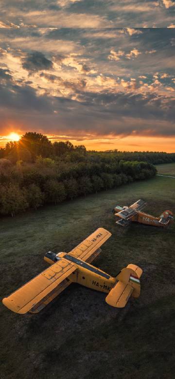 Vintage airplane parked on the grass