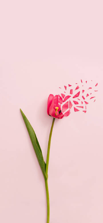Fragments of flowers phone wallpaper