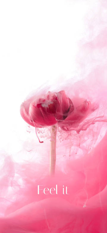 Tulips surrounded by pink smoke