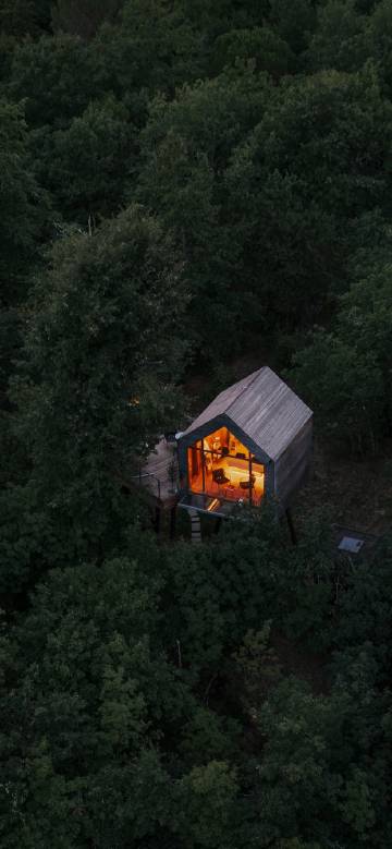 House with lights on in the middle of the forest
