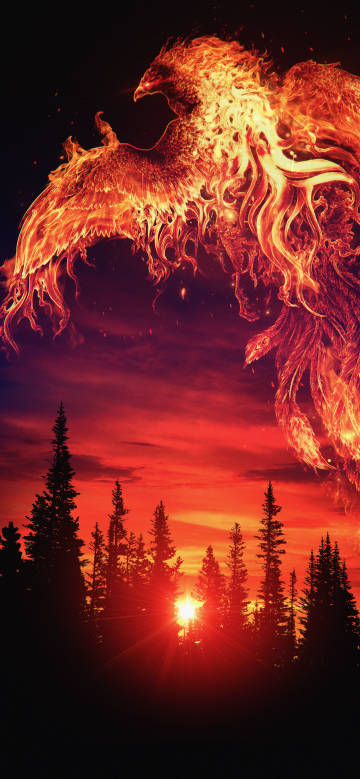 Fire Phoenix at sunset