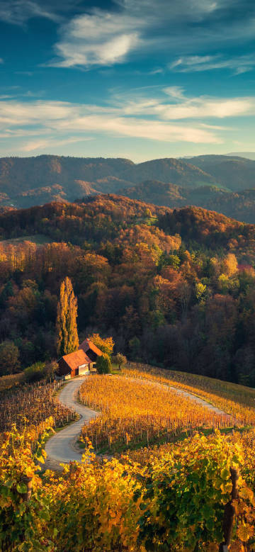 The Country Cottage in the Autumn Scenery