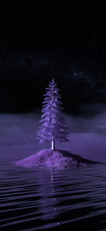 The Solitary Tree in the Purple Vision