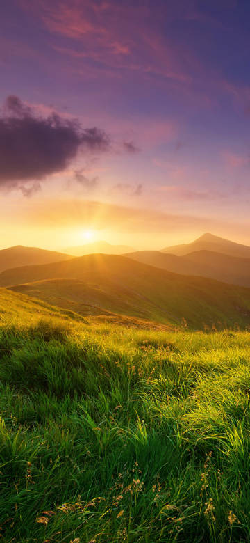 The Mountain Wilderness in the Rosy Glow