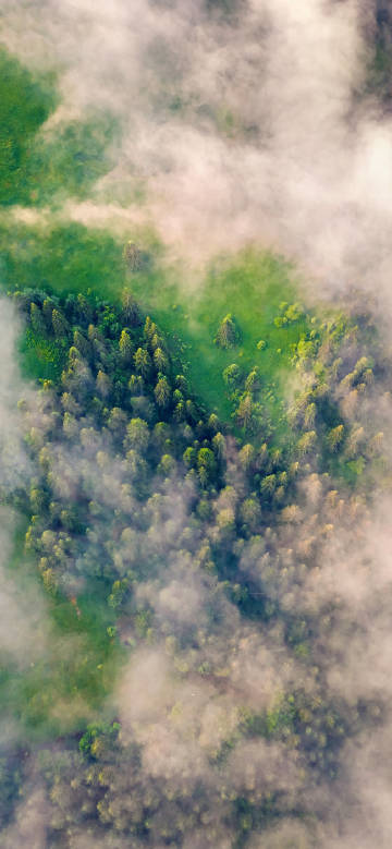 Aerial view of forest clouds