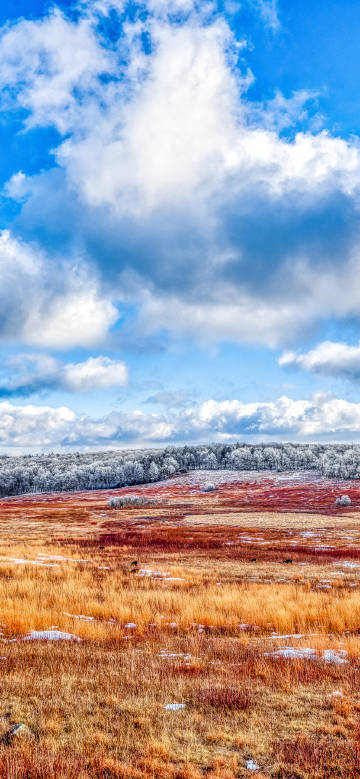 The Scenery of the Wilderness