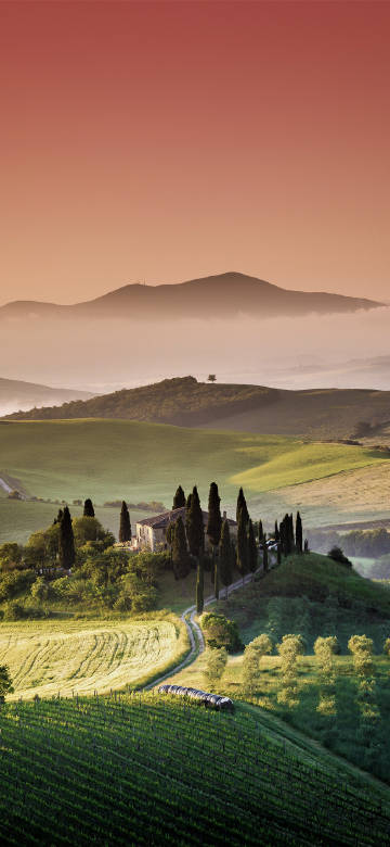 Green Hills under the Orange Sky