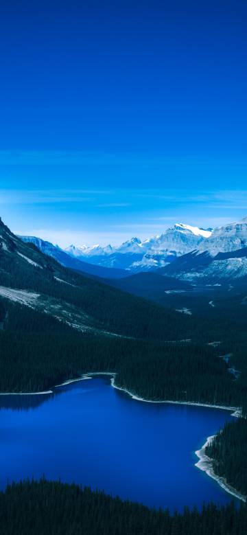 Dense forest surrounding blue lake scenery