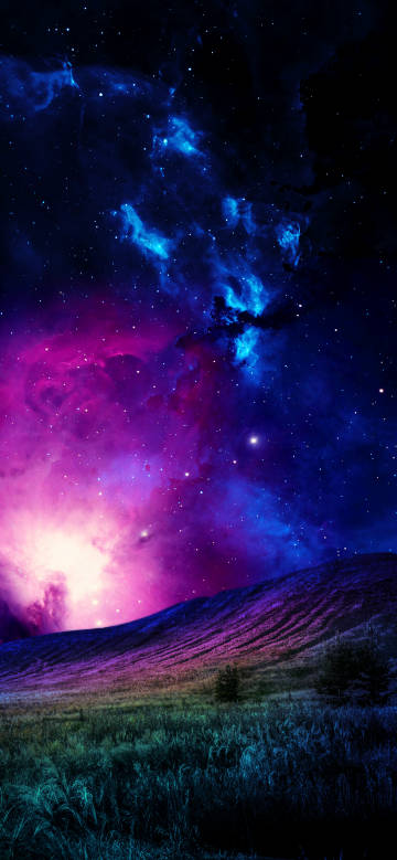Dreamy Meadow under the Starry Sky