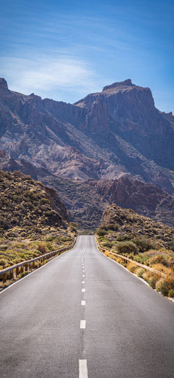 Road Leading to the Mountains