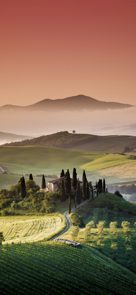 Green Hills under the Orange Sky