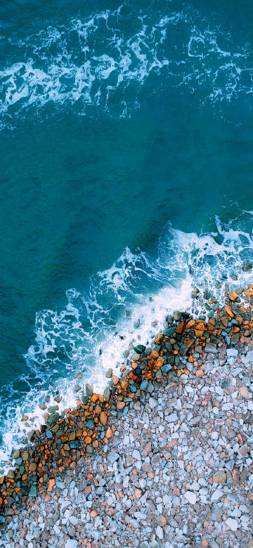Reefs and Waves by the Sea