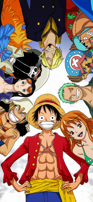 Character posters of the Japanese anime "One Piece"