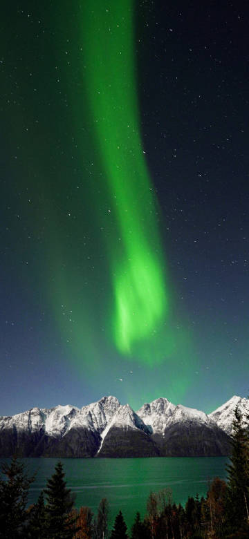 Green Aurora over Snow - capped Mountains and Lake