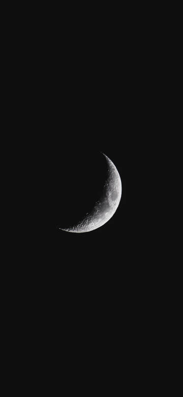 The Crescent Moon in the Night Sky