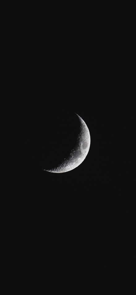 The Crescent Moon in the Night Sky