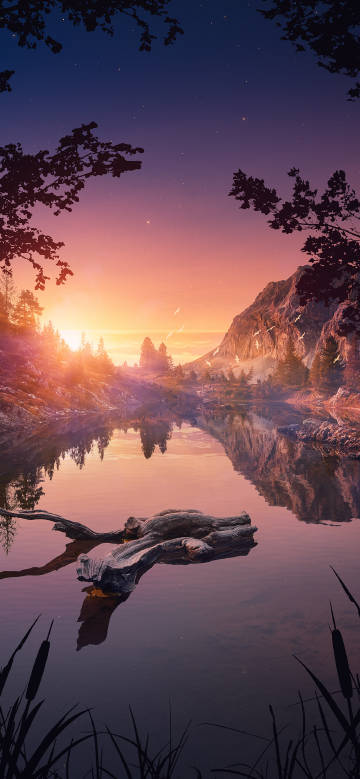 Sunset scenery with dead tree on quiet lake