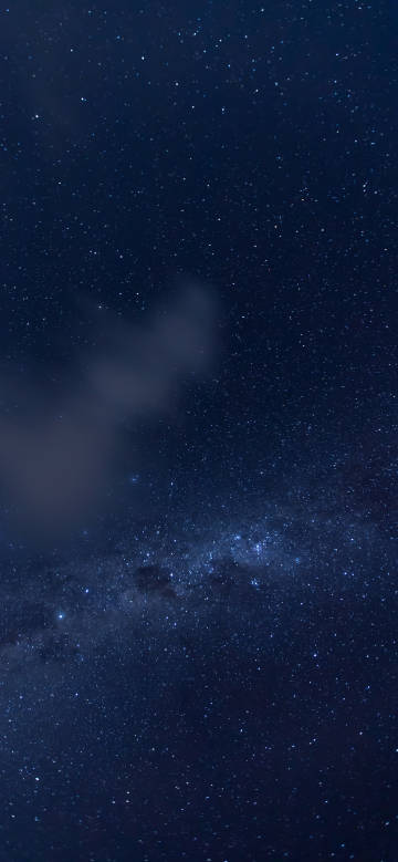 The Milky Way and Starlight in the Night Sky