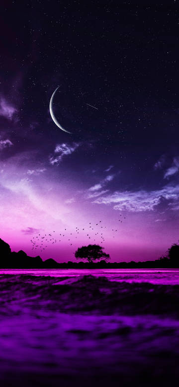 Dreamy scenery of purple sky