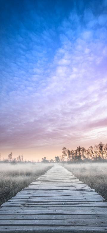 Wooden plank path under the blue and purple sky