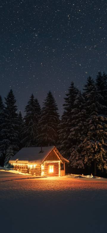 Winter Cottage under the Starry Sky