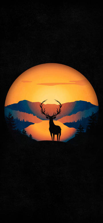 Silhouette of deer in the afterglow