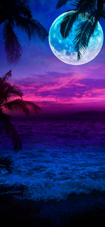 Dreamy Moonlit Night among Palm Shadows
