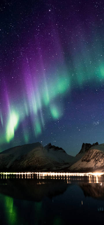 Dancing Green and Purple Aurora under Night Sky
