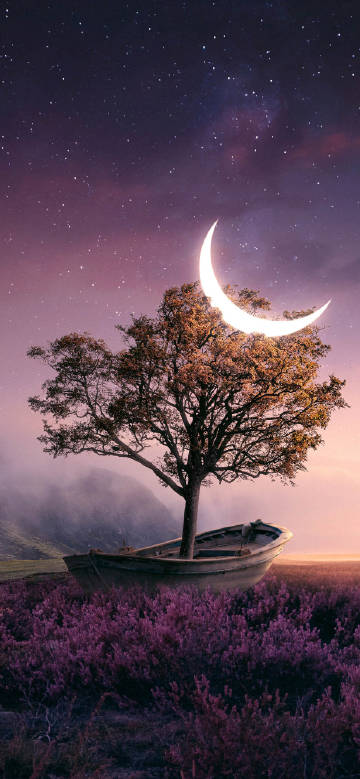 A crescent moon hangs in the treetops
