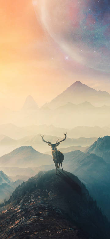 Lonely Deer under the Sea of Clouds and Star River