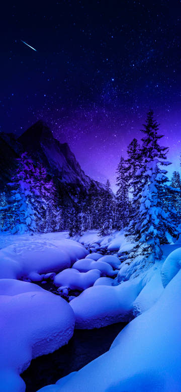 Winter Night Scene with Shooting Stars